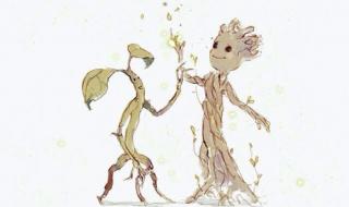 神奇动物去哪里 神奇动物去哪里